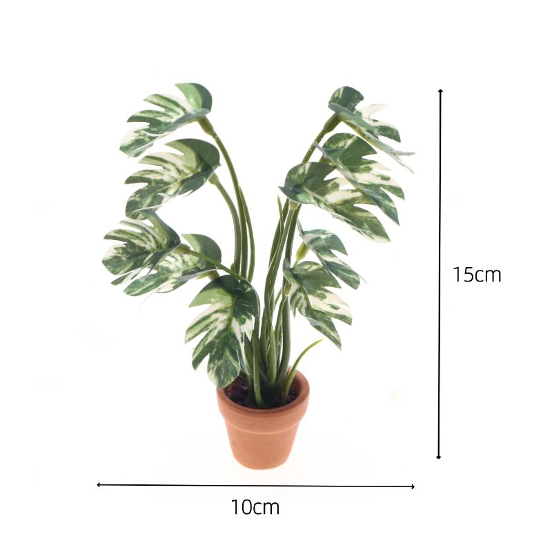 Nouveau. 1 pièce. Plante verte - Bonsai Garden Pot avis et prix