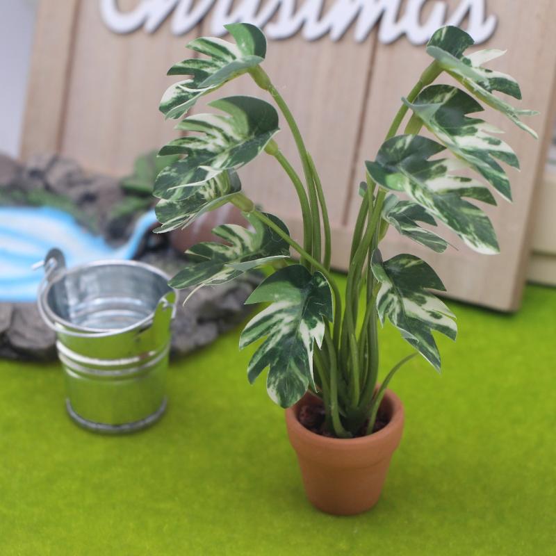 Nouveau. 1 pièce. Plante verte - Bonsai Garden Pot avis et prix