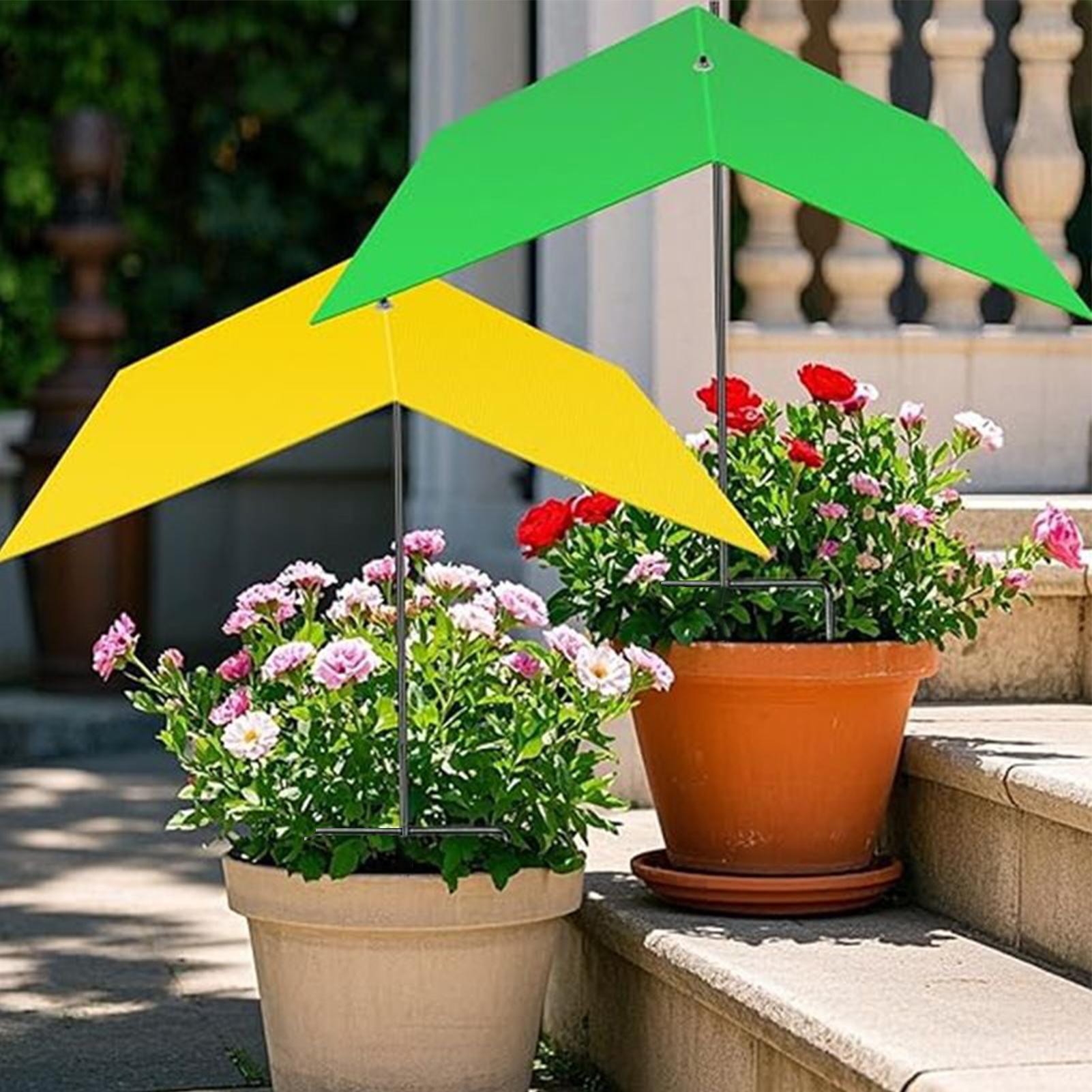 Parasols pour plantes d'extéri - Bonsai Garden Backyard avis et prix