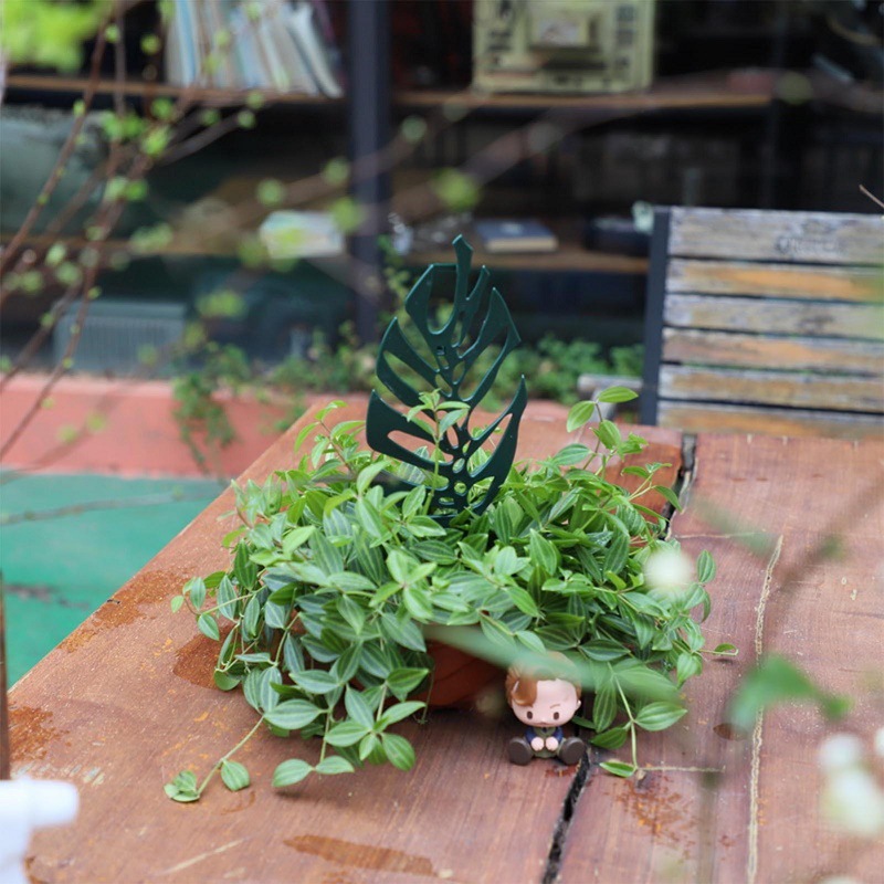 Support d'escalade pour plante - Bonsai Garden Pot avis et prix