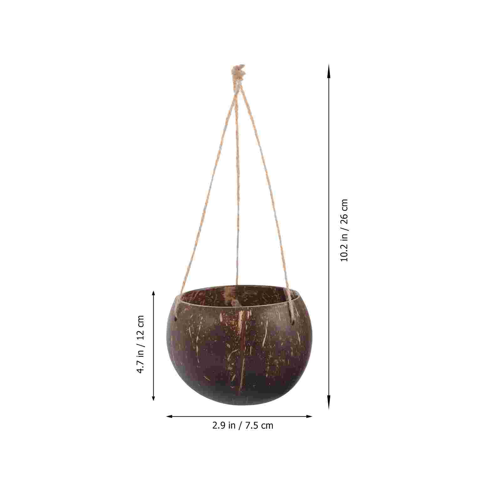 Pots de fleurs en coquille d'a - Bonsai Tree Zen Garden avis et prix