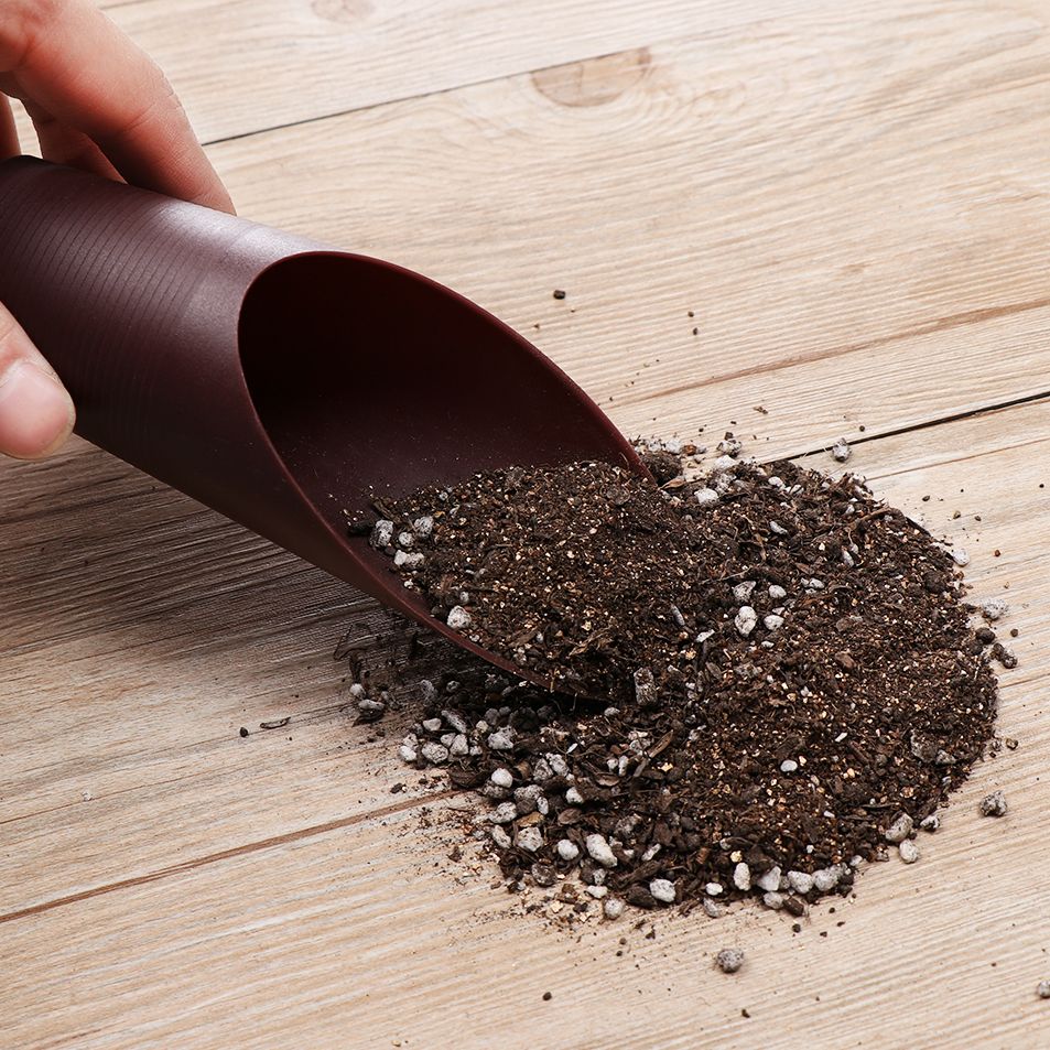 Tasse de pelle à sol en plasti - Bonsai Garden Pot avis et prix